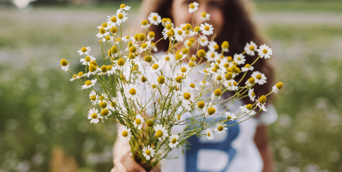 Allergie au pollen, nos solutions pour prévenir et guérir