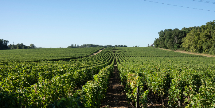 Caudalie : produits de beauté et trésors de la vigne !